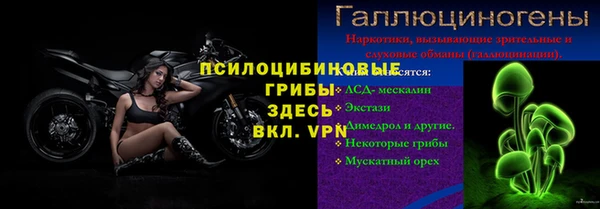 PSILOCYBIN Армянск