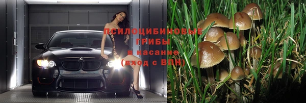 ECSTASY Приозерск